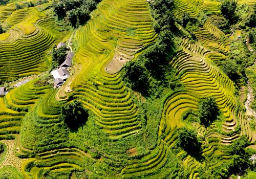 Discover Cat Cat village weather to plan your perfect trip