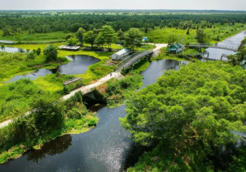 Ultimate Guide to U Minh Thuong National Park