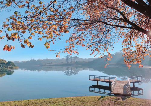 Discover Xuan Huong lake – The heart of Dalat’s natural beauty